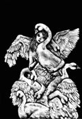 le vilain petit canard